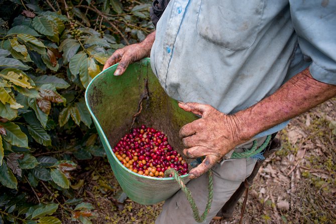 Coffee Tour.