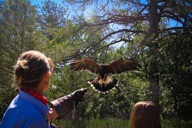 Colorado Springs Hands-On Falconry Class and Demonstration