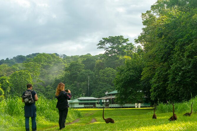 Corcovado and Drake Bay 2-Day Small-Group Safari Guided Tour