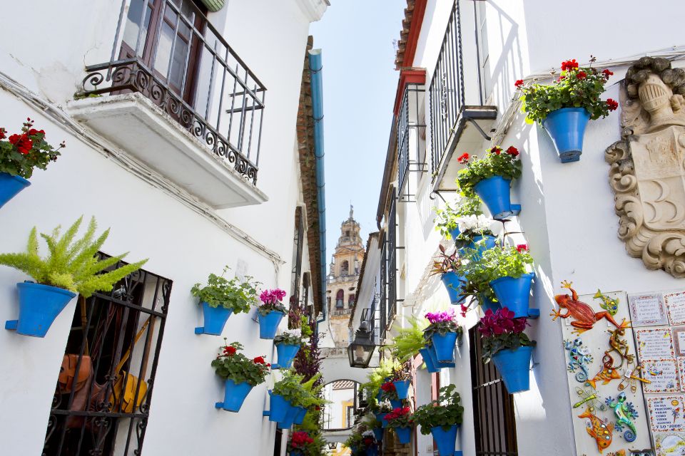 Cordoba: Mosque-Cathedral & Jewish Quarter Private Group