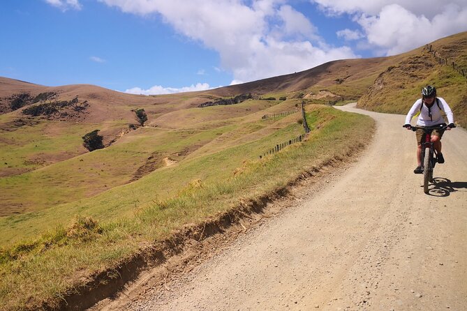 Coromandel Coastal Walkway: Full-Day Hike and Bike Tour