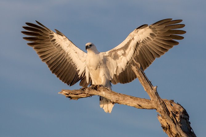 Corroboree Billabong Wetland Cruises – 2 Hour Sunset Cruise