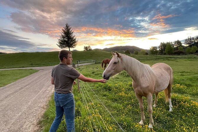 Country Experience at Mohaka River Farm