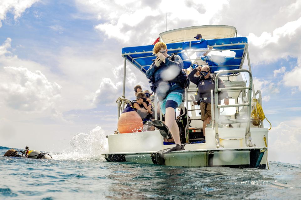 Cozumel: 1 Tank Certified Scuba Diving