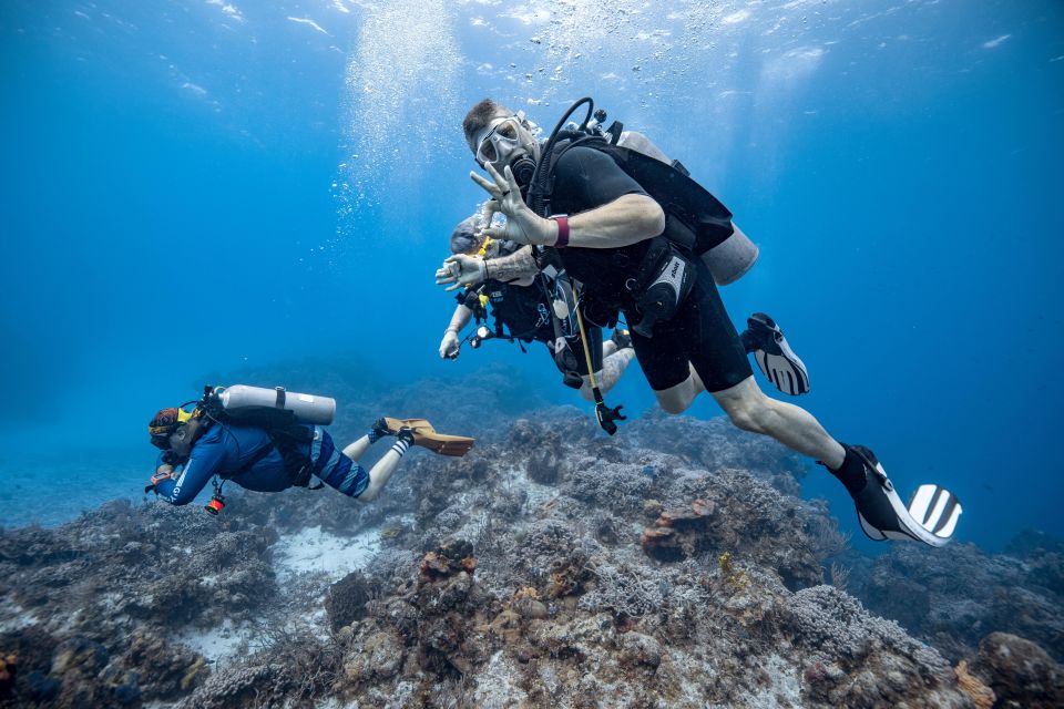 Cozumel: 2 Tanks Certified Scuba Diving