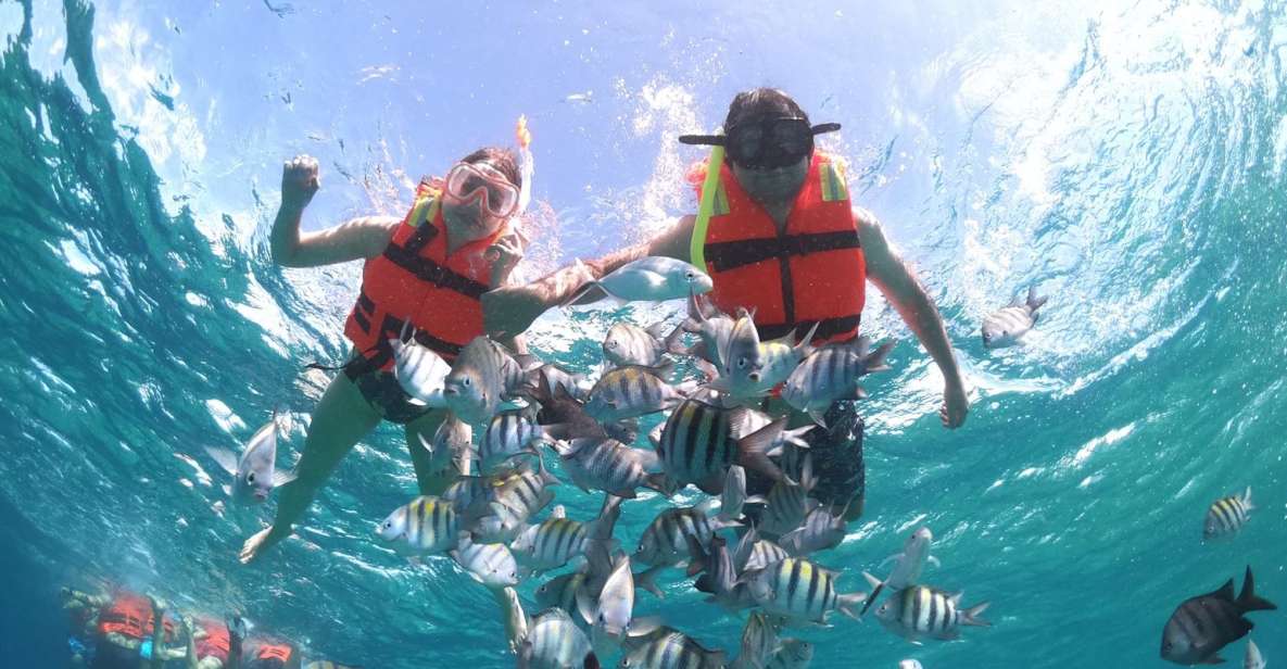 Cozumel: Clear Boat & Snorkel Tour