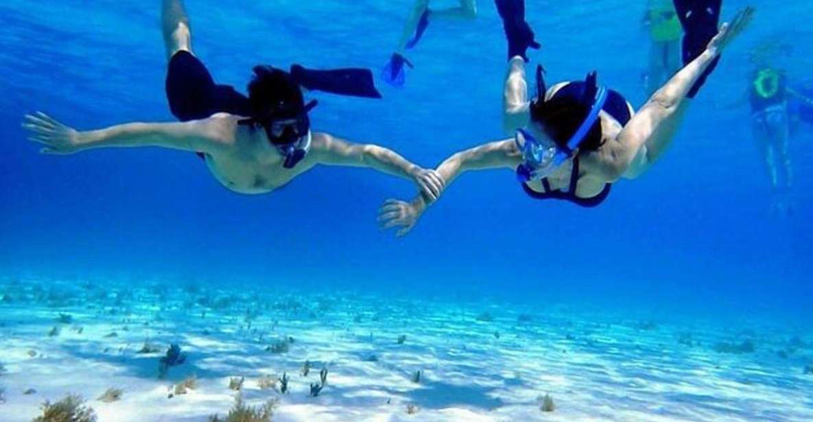 Cozumel El Cielo Sandbar and Reef Snorkeling Tour