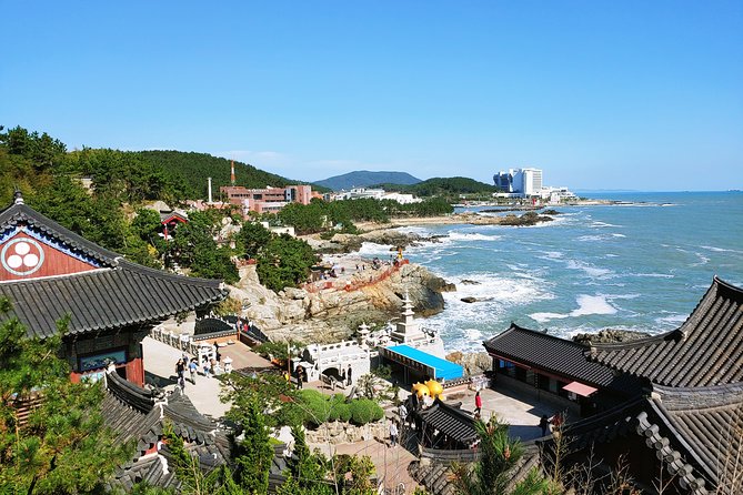 Cruise Layover : Small Group Busan Essential Tour