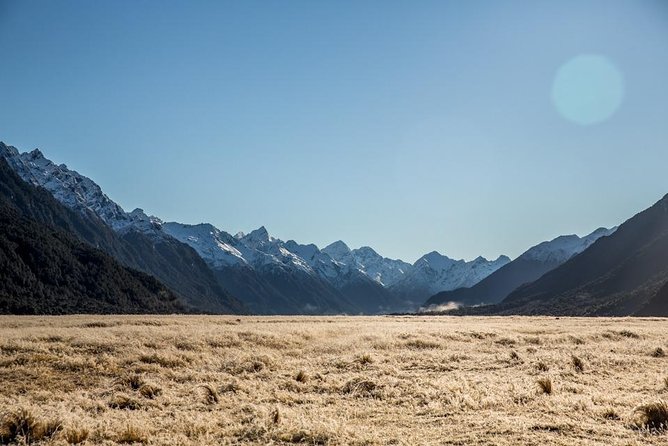 Cruise Milford Small Group Day Tour From Queenstown