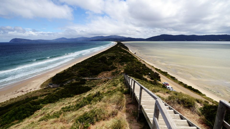 Cruise Ship Bruny Island Shore Excursion