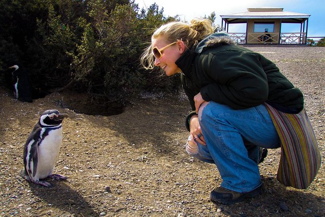 Cruise Shore Excursion Punta Tombo – Tickets Included – Puerto Madryn Patagonia