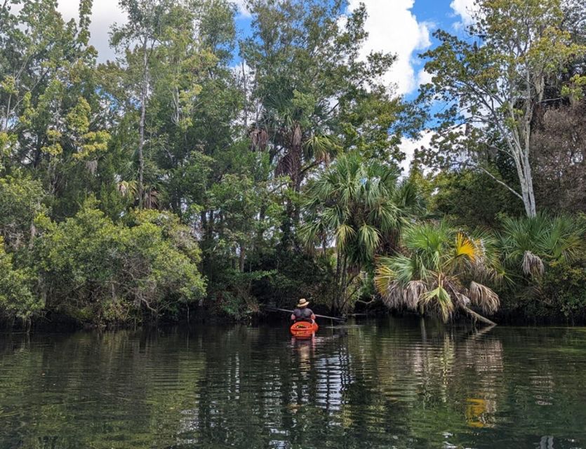 Crystal River: Kayak Rental - Activity Details