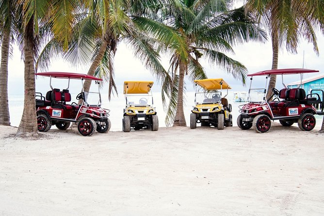 C&S (4 Seater) Golf Cart Rentals