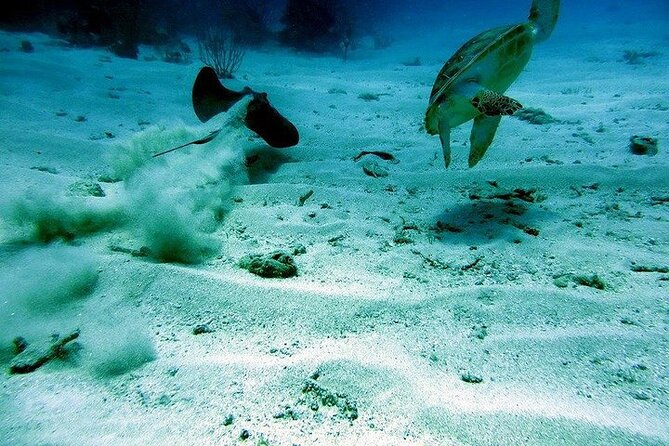 Culebra Snorkel and Beach Tour With Lunch and Drinks