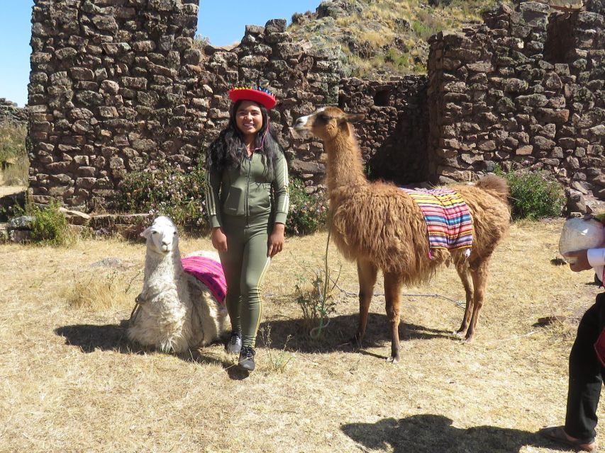 Cusco: Alpaca Therapy + Healing With Clay |Lunch - Private| - Activity Overview