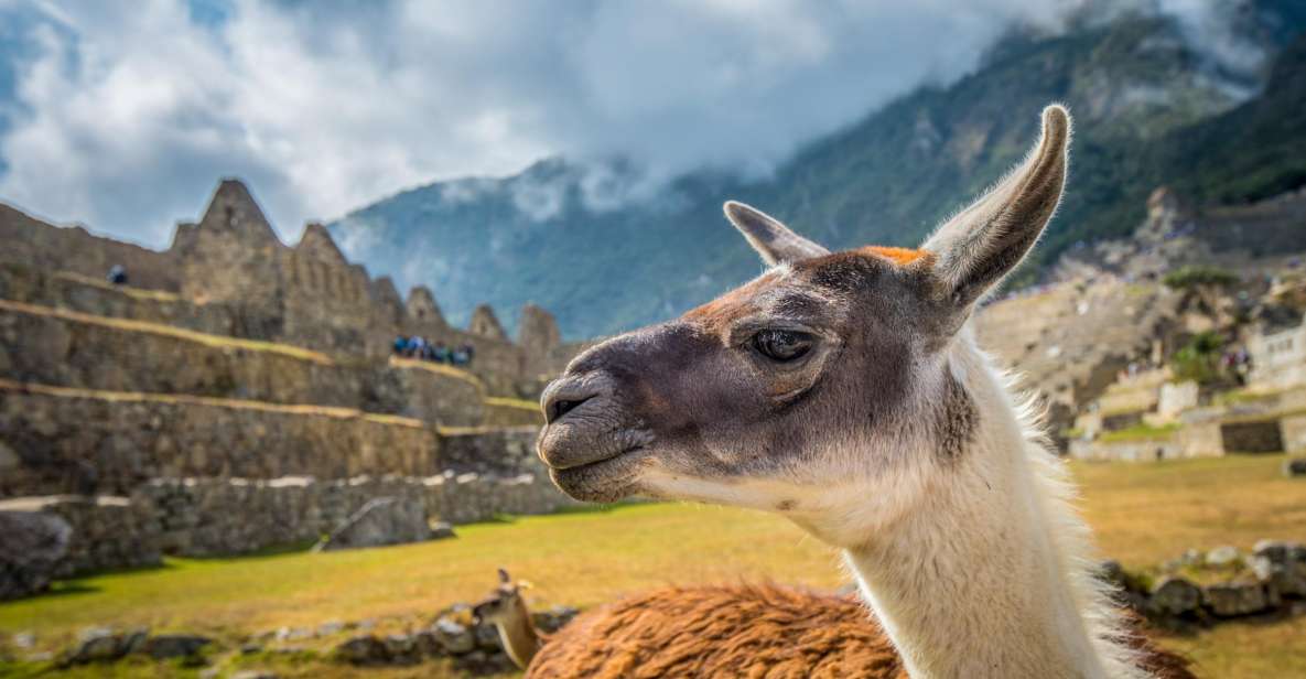 Cusco: Machu Picchu Tour With Tickets - Tour Overview