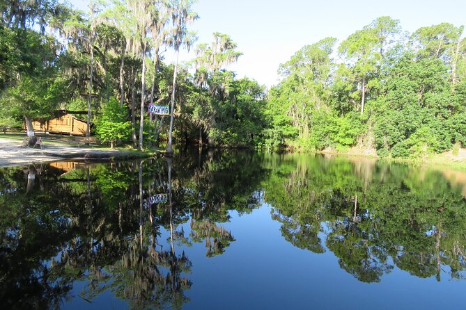 Cypress Forest Guided Kayak Nature Eco-Tour - Tour Overview and Details