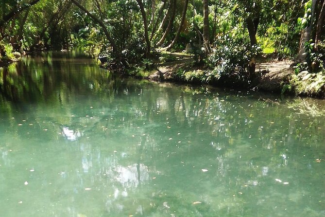 Damajagua the 7 Waterfalls Excursion – Amber Cove & Taino Bay