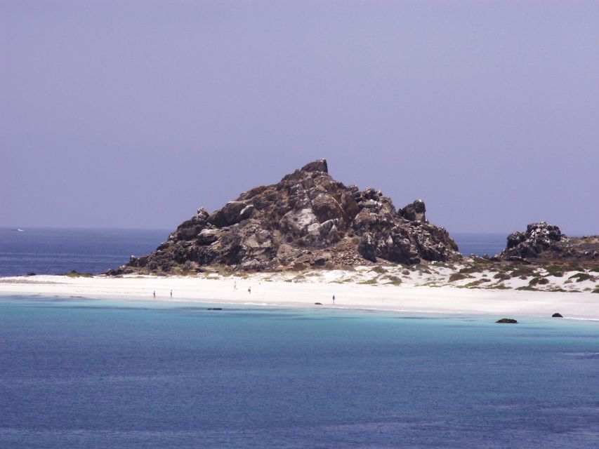 Damas or Chañaral Island: Whales & Humboldt Penguin Reserve
