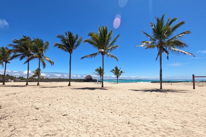 Day Tour to Isabela Island With Tintorera Islet, Snorkeling Wetlands & Flamingos