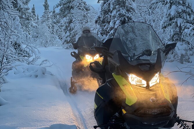 Day Tour With Snowmobile in Kiruna