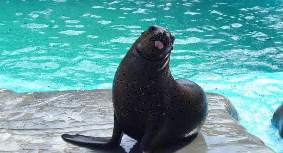 Day Trip at Ocean World for Dominican Residents