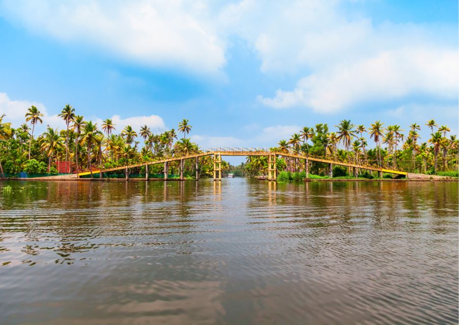 Day Trip to Alleppey With Backwater Experiences - Tour Overview and Pricing