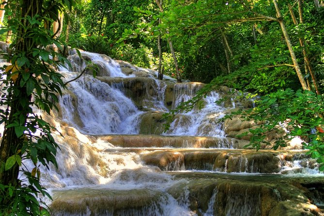 Day Trip to Dunns River Falls From Montego Bay