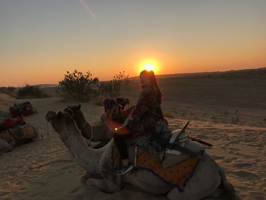 Dazzling Half Day Tour of Camel & Desert Safari With Sunset