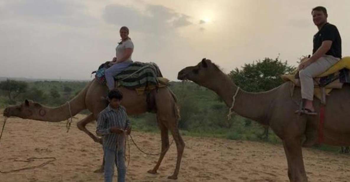 Desert Camel Safari Day Tour In Jodhpur