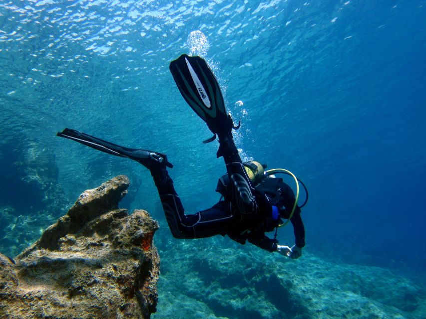 Didim: Scuba Diving Experience W/Hotel Pickup & Lunch - Overview of Scuba Diving