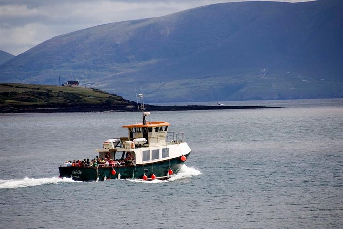 Dingle Peninsula Day Tour From Limerick: Including the Wild Altanic Way