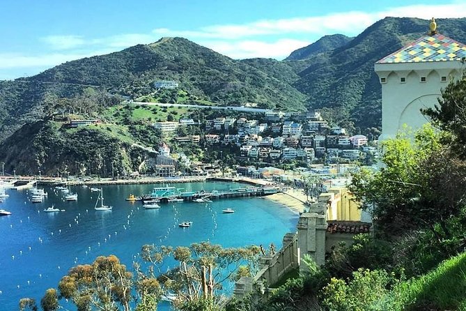 Discover Avalon: Catalina Scenic Tour