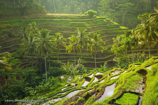 Discover Bali in 2 Days Private Tour Package