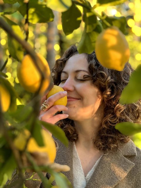 Discover, Harvest & Taste Sorrento Lemons