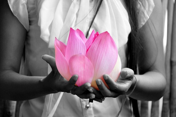 Discover Learn and Experiment the Sacred Lotus Flower