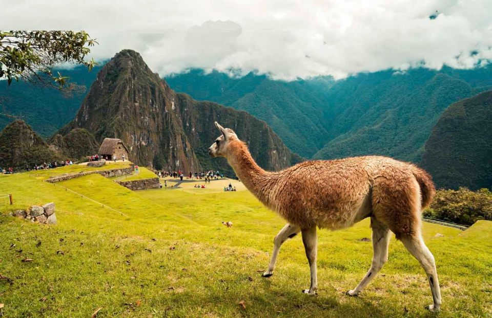 Discover Machu Picchu: Guided Group Tour Historic Site