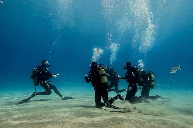 Discover Scuba Diving - Overview of Scuba Diving in Lanzarote