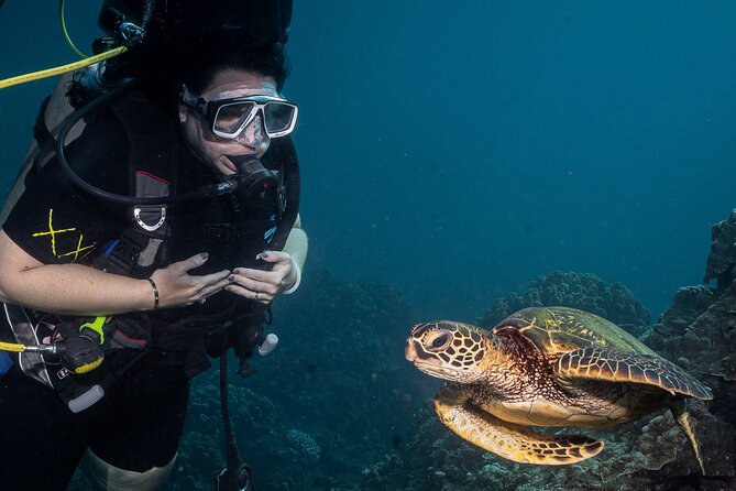 Discover Scuba Diving Class – Lahaina (Shore)