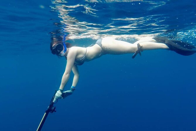 Discover Spearfishing Course