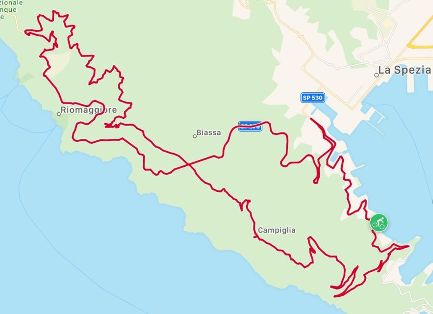 Discover the Cinque Terre With a Panoramic E-Bike Tour