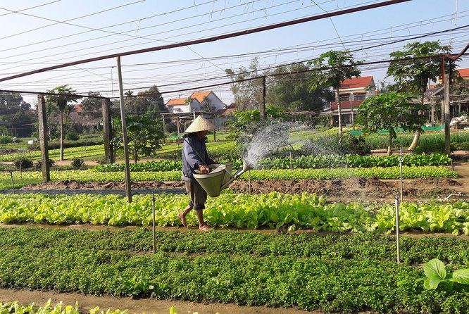 Discovering Hoi an Countryside by Bike