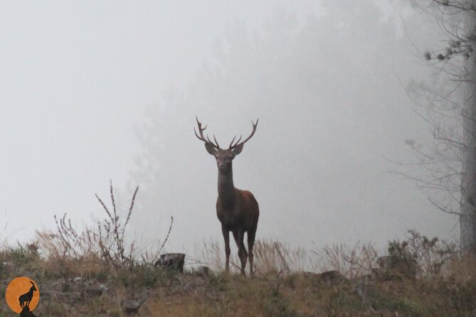 Discovering Nature in Serra Da Lousã