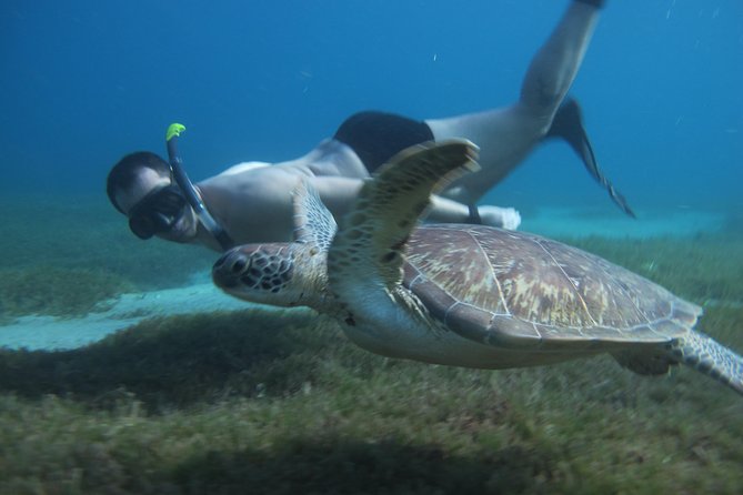 Diving and / or Snorkeling Day From a Catamaran