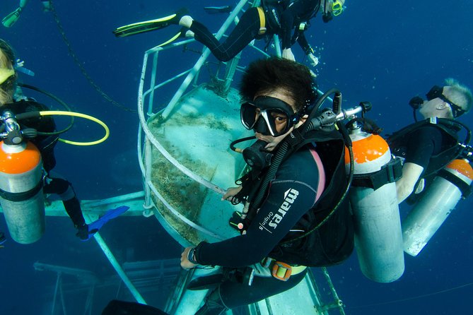 Diving at Koh Chang, Daytrip With 2 Dives