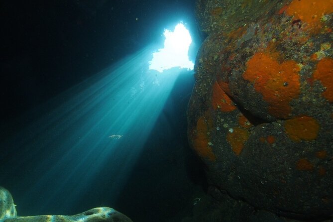 Diving Guided by the Diving Center (With Full Equipment)