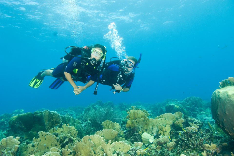 Diving Santa Marta & Tayrona for Certified Divers (2 Tanks)