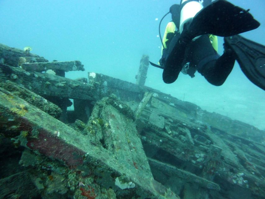 Diving Tour Karimunjawa (Private Tour) - Overview of the Tour