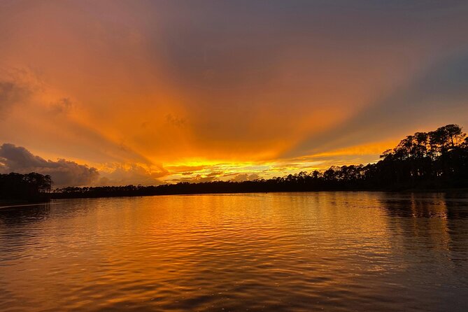 Dolphin and Nature Sunset Cruise From Orange Beach - Wildlife Sightings