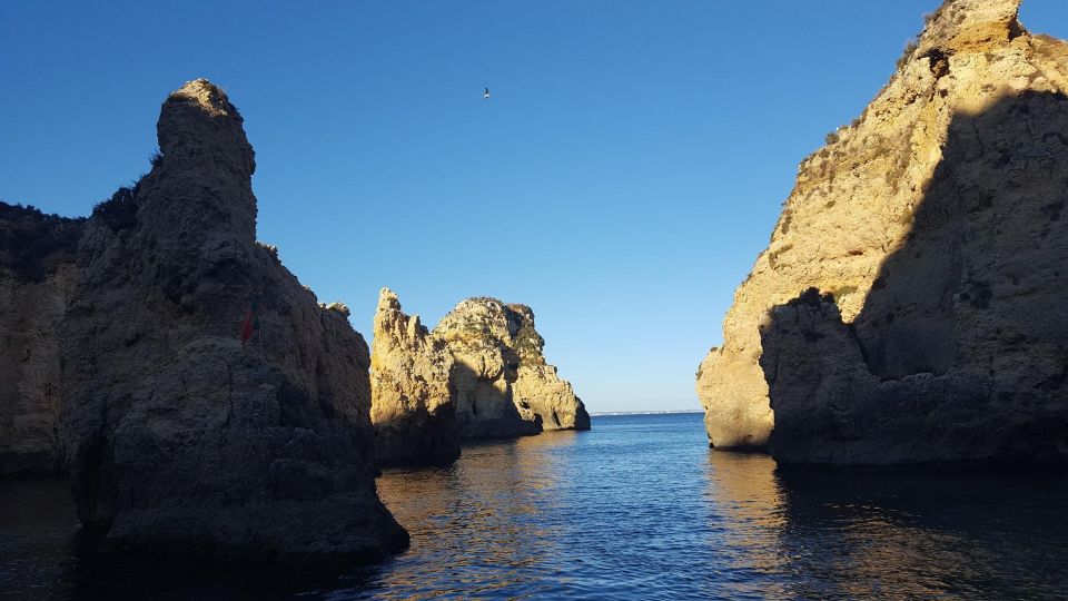 Dolphin Watching and Local Caves